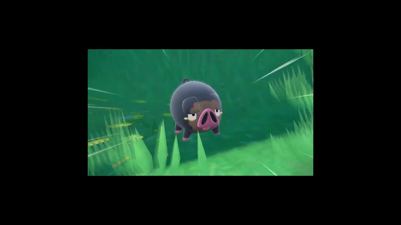 Shiny Sprigatito hatches after 715 eggs!