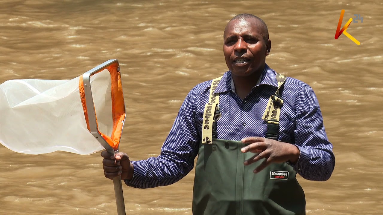 Voice of nature; Tracing Mara River from its source, Enapuiyapui swamp lifeline for major rivers