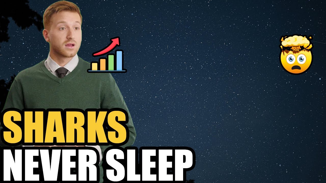Sharks Sleep With One Eye Open—The Chilling Brain Trick That Keeps Them Alive