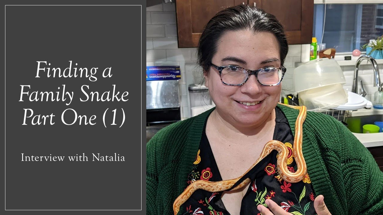 Natalia's Interview Part One: Finding a Family Snake