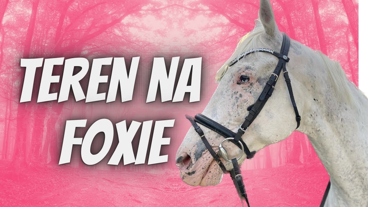 POJECHAŁAM W TEREN NA FOXIE 🦊