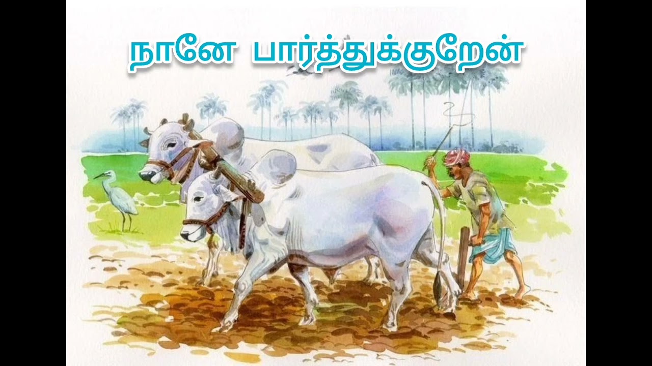 கதை விருந்து 