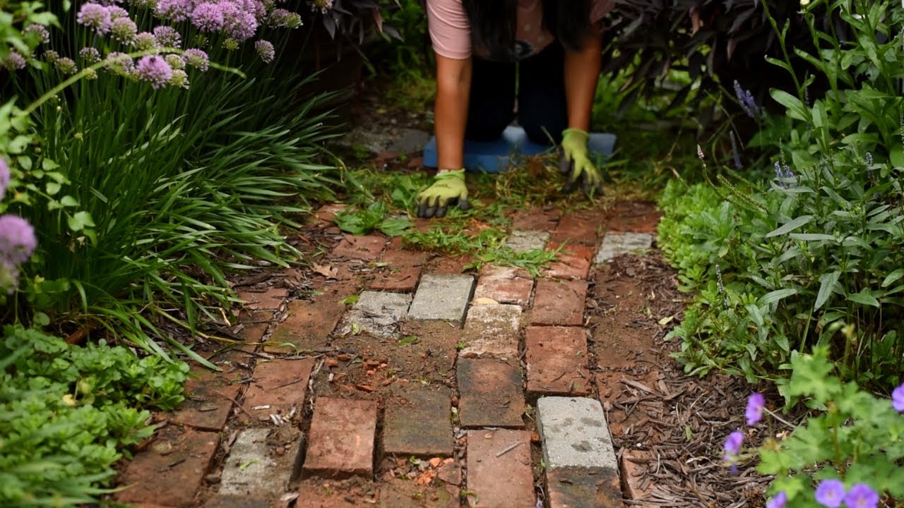 This is how I weed my Garden (No Secrets or Gimmicks!)