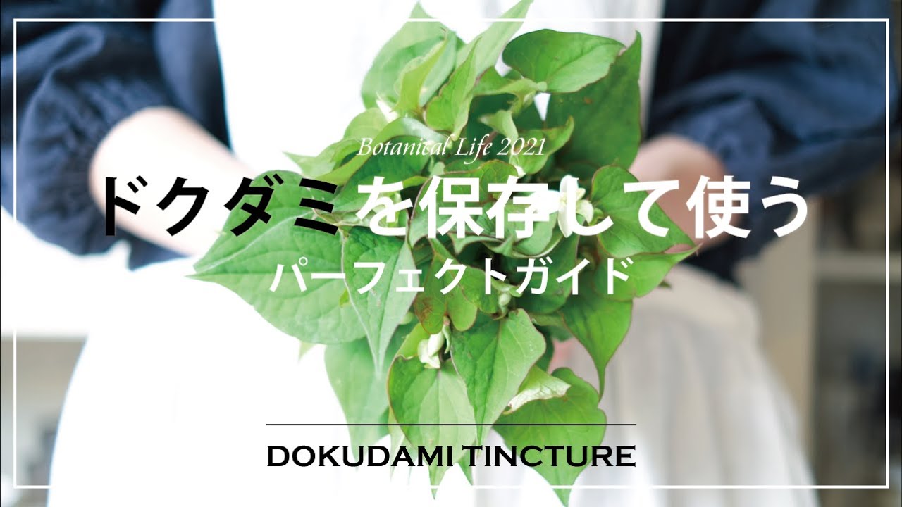 #9【暮らしのDIY】 プロが教えるドクダミチンキ | 失敗しない保存と使い方 【徹底解説】