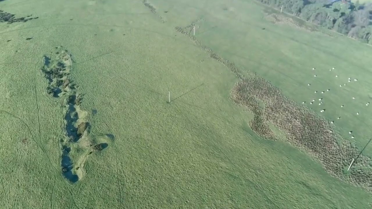Priddy Circles