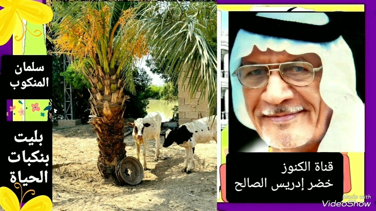 سلمان المنكوب/تعب كَلبي (بليت بنكبات الحياة )