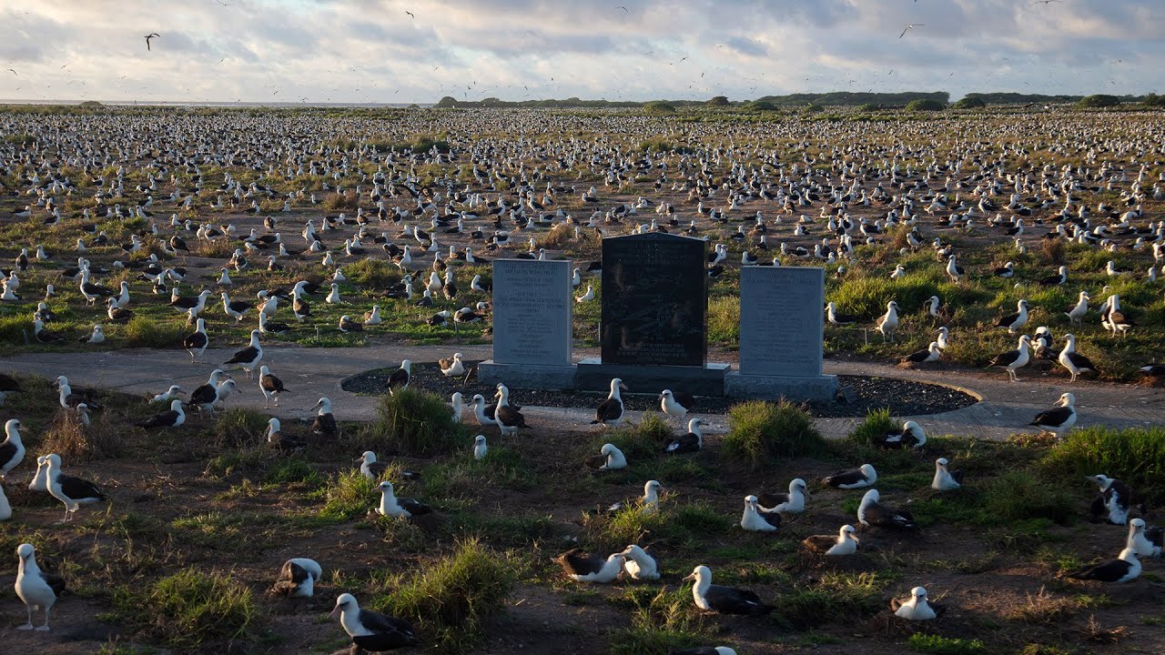 Midway Atoll 360° Virtual Tour
