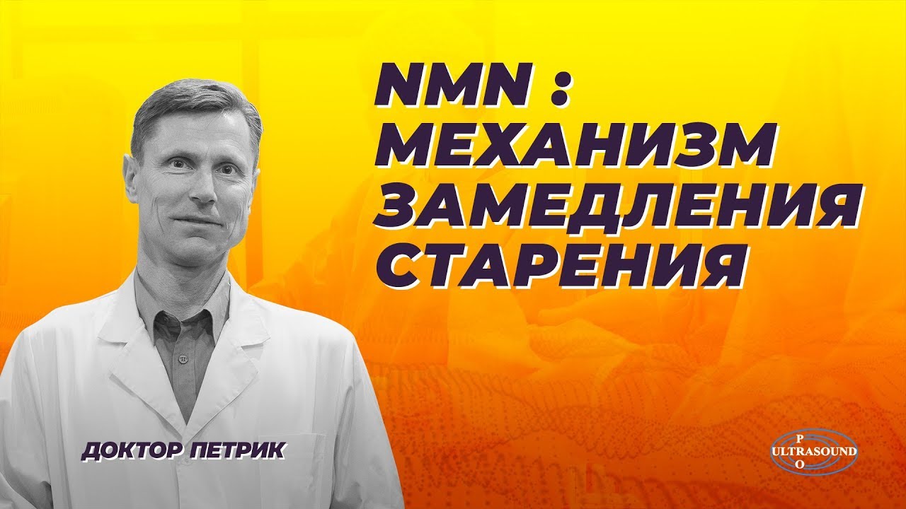 NMN: механизмы замедления старения.