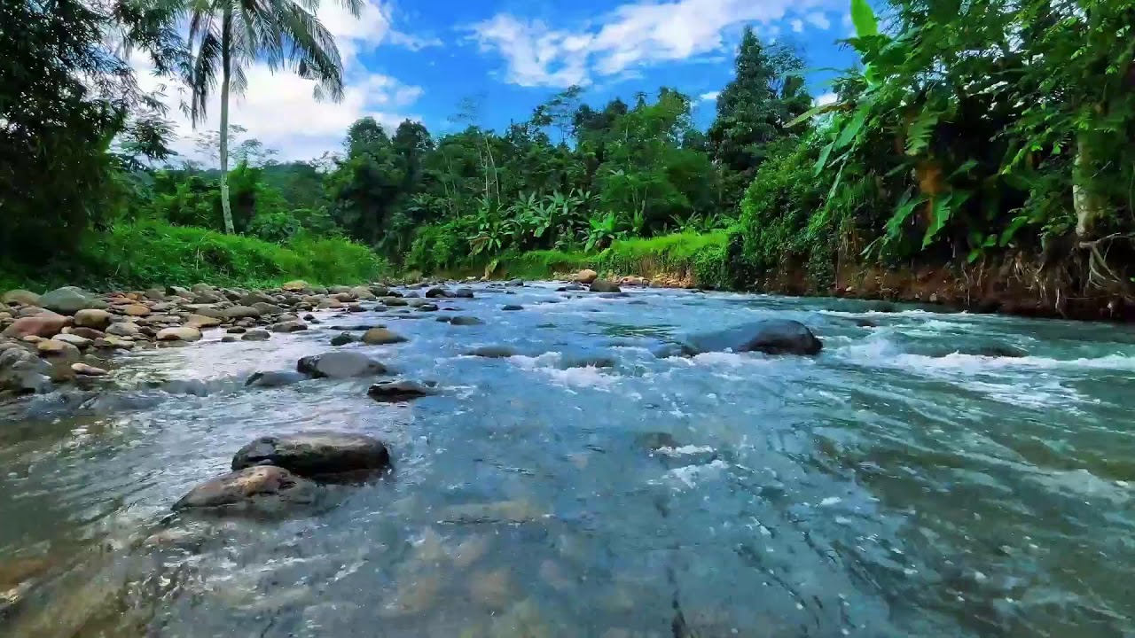 Healing River Sound for Deep Relaxation & Sleep | Calm Natural Water Flow for Stress Relief