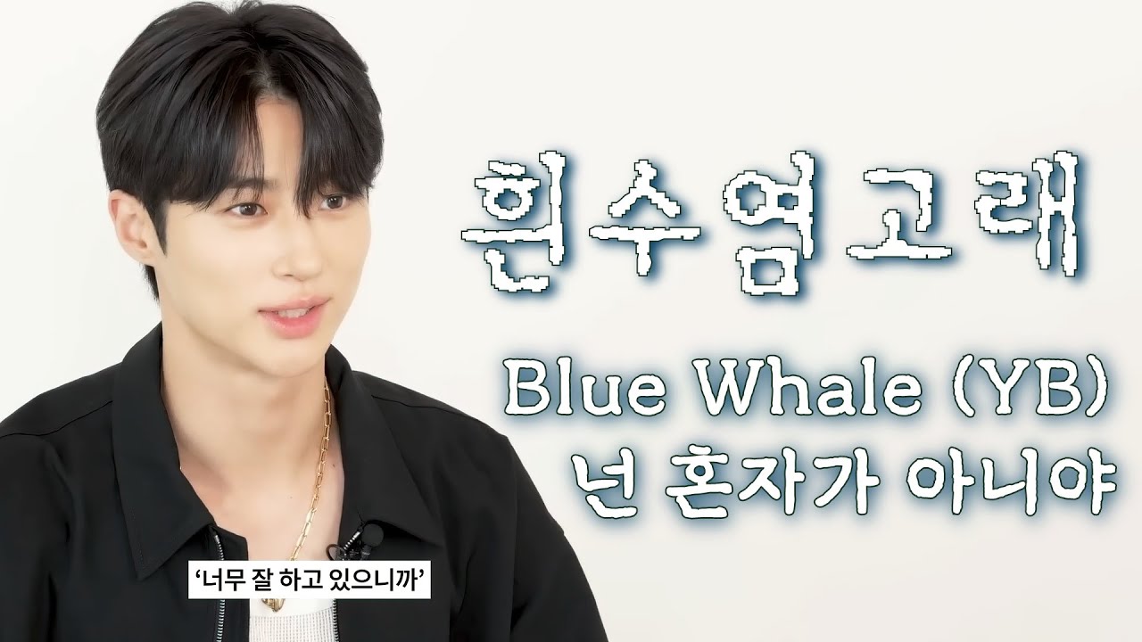 변우석 힘내 넌 혼자가 아니야 - 흰수염고래 (YB) ByeonWooSeok Cheer Up