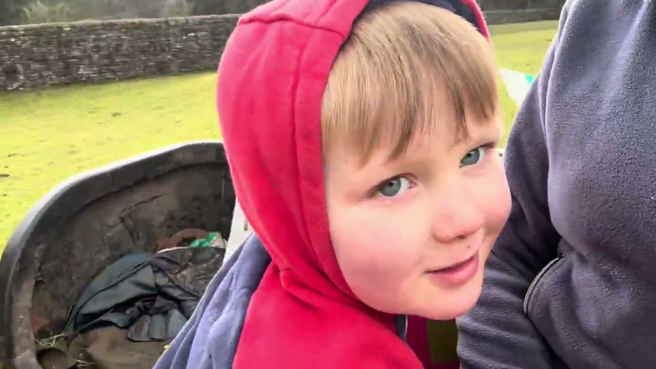  We’ve had another calf born this morning! 🎉#BowleesBabies #CalfWatch2026 #FarmLifeNeverRests 