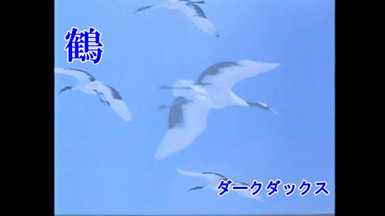 鶴