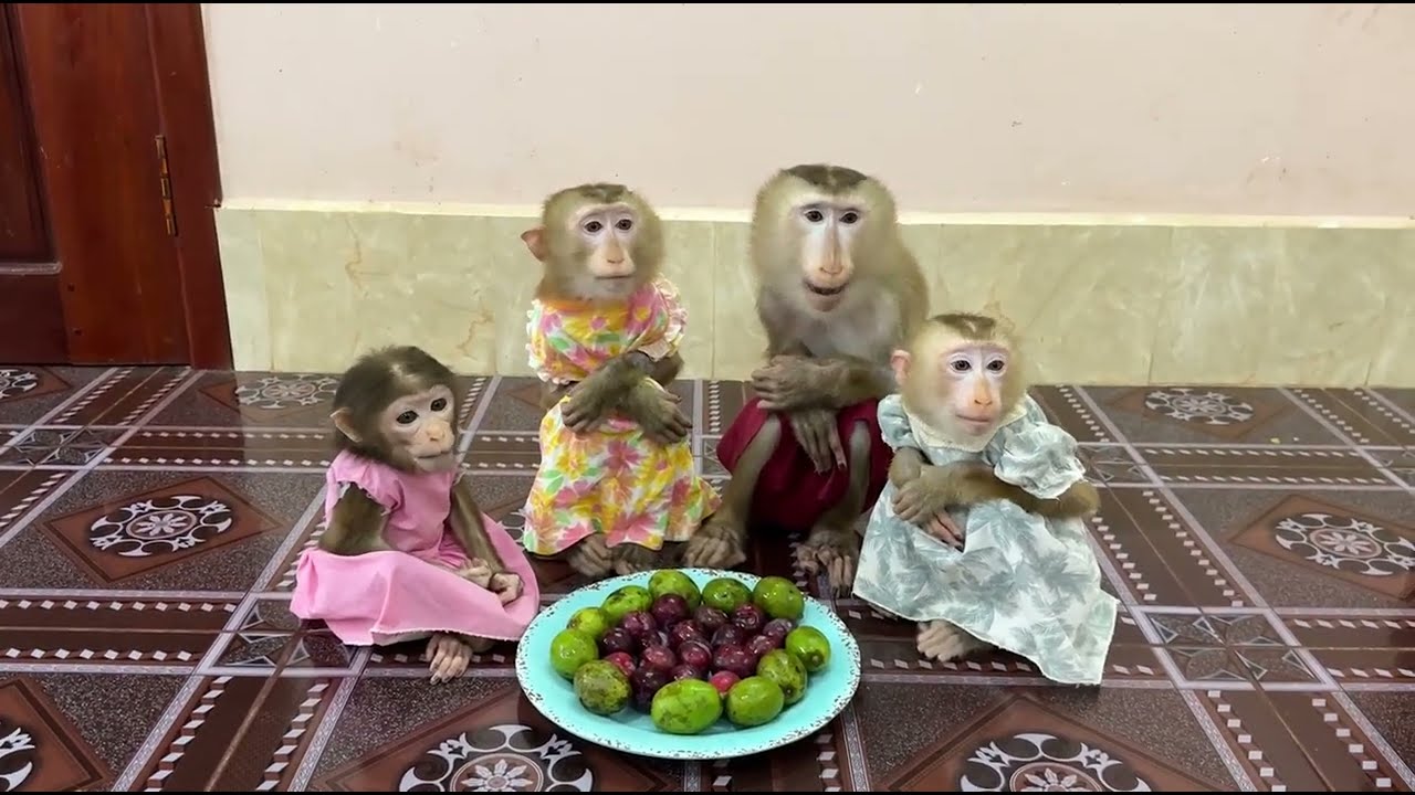 All cute girl and boy sit very over the moon waiting mom come to eat together .