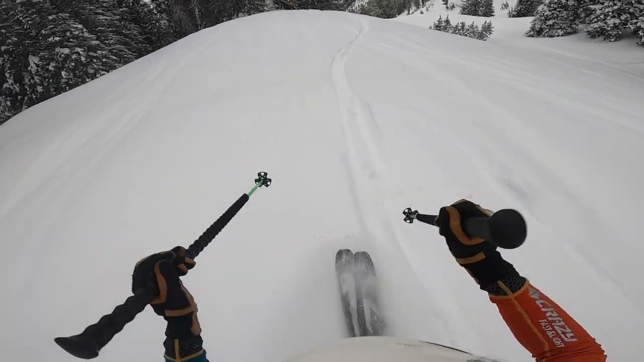 Ski Trab Ortles 90 - Powder Cruising