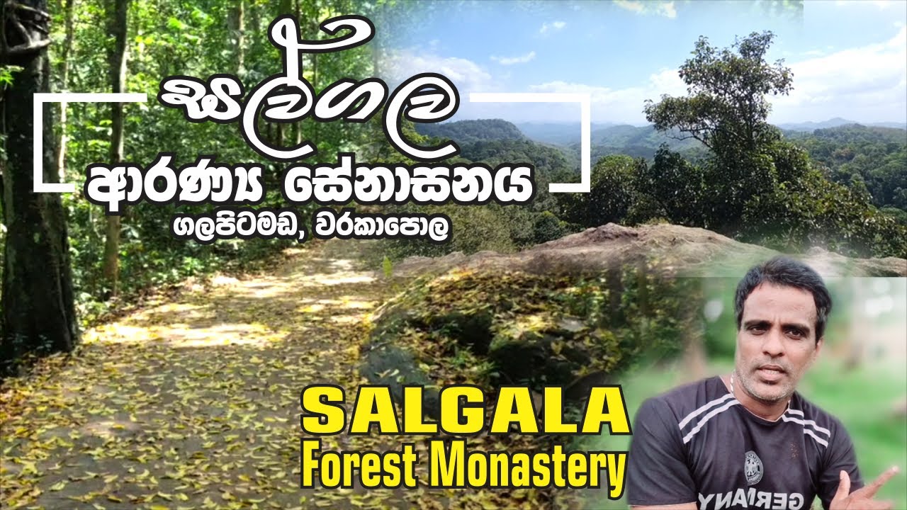 සල්ගල පූජා භූමියේ සැගවුනු අභිරහස සොයා / සල්ගල ආරණ්‍ය සේනාසනය / Salgala Forest Monastery