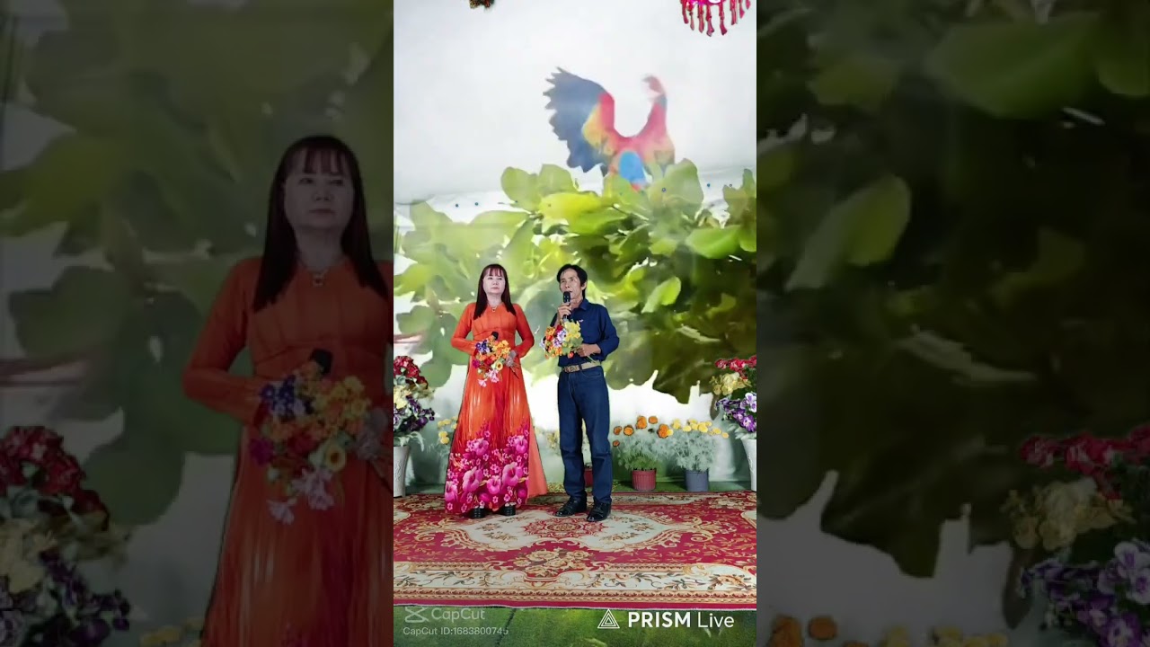 anh nhan & kim xuyến 