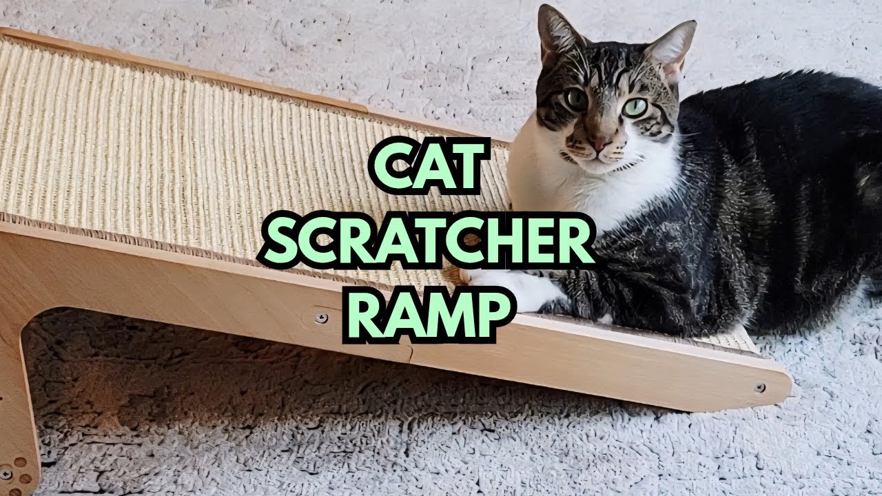 Cheerhome Pets Sisal Wooden Cat Scratcher Ramp - My Review