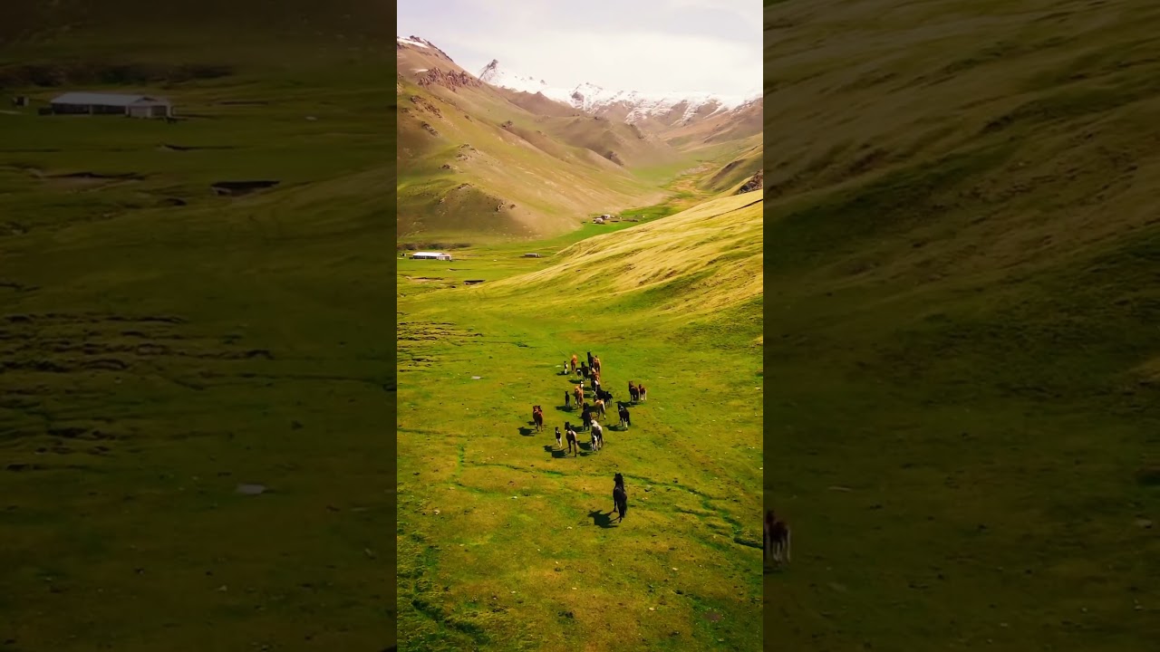 Unveiling Tash Rabat: The Secrets of Kyrgyzstan's Silk Road