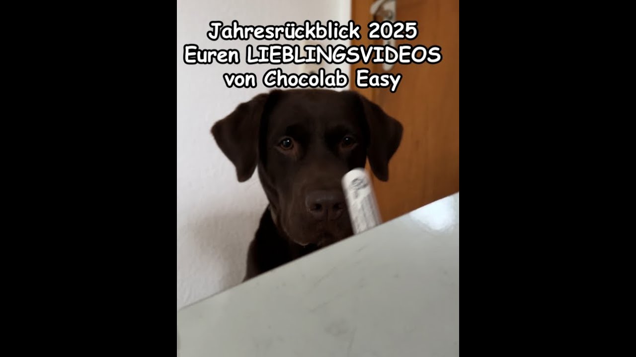 Jahresrückblick Chocolab_Easy