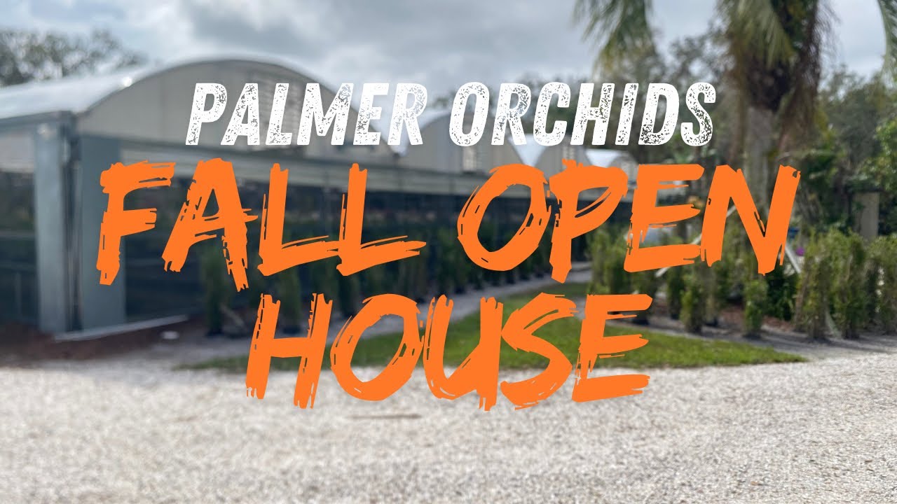 2024 Palmer Orchids Fall Open House Preview ✨