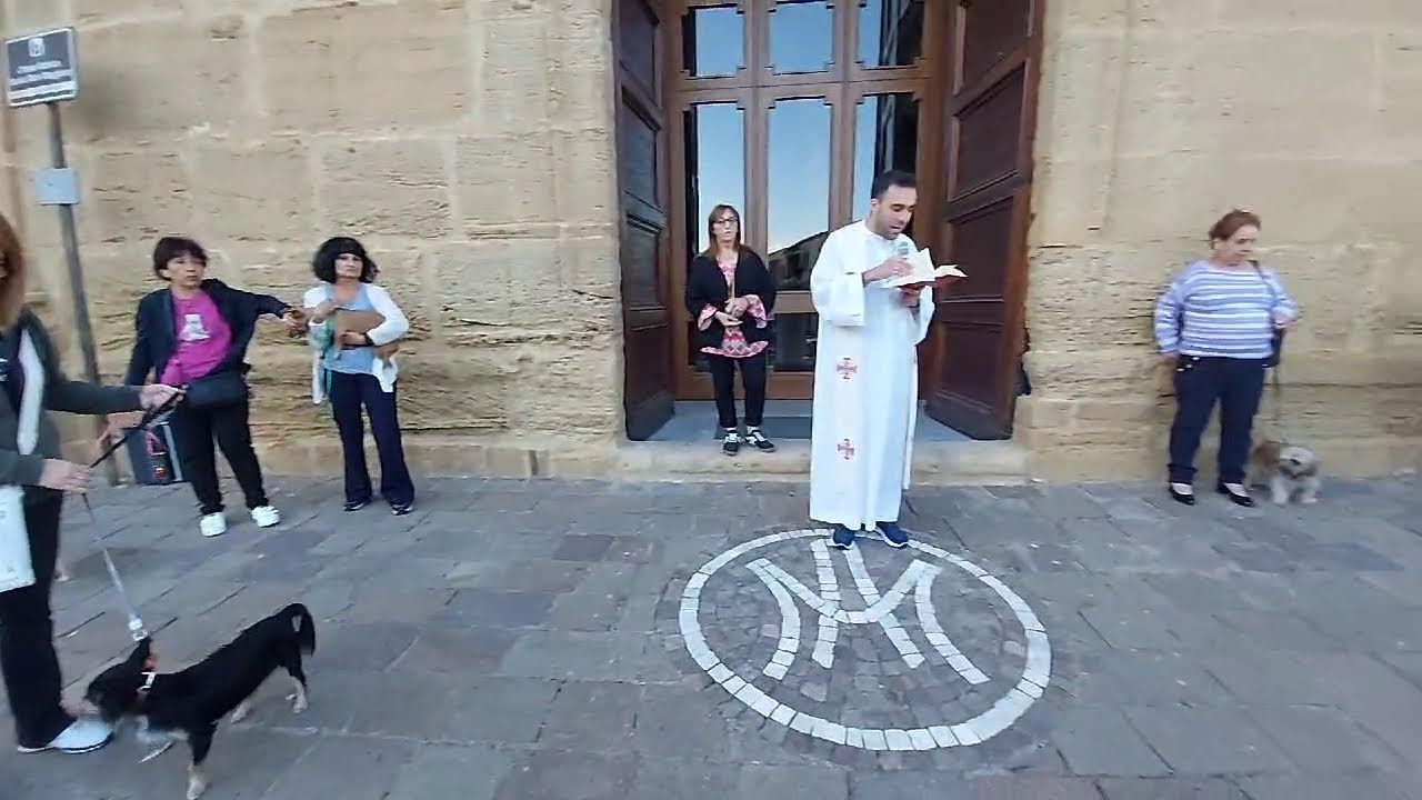 In diretta da Pietraperzia, benedizione degli animali per la festa di San Francesco.