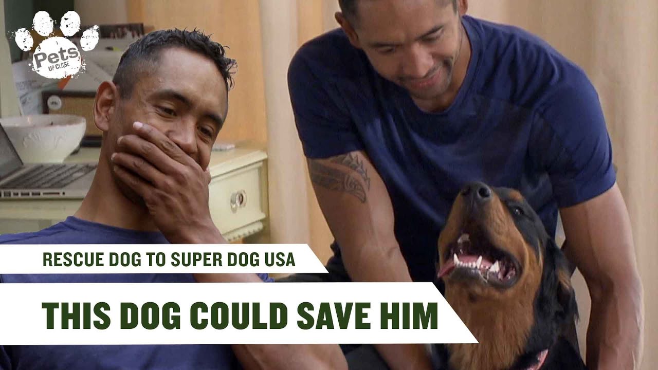 Ex-Marine Finds PTSD Sufferer the Perfect Dog | Rescue Dog to Super Dog USA | S1 E1 | Pets Up Close