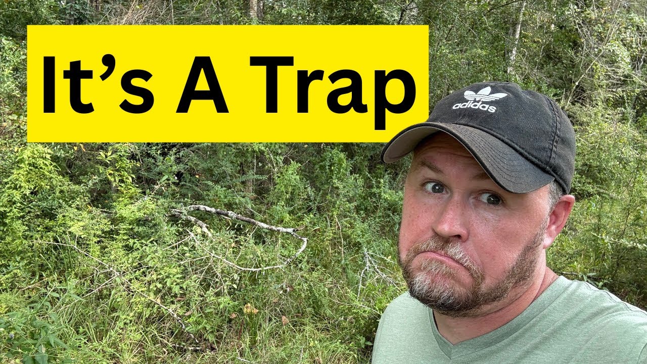Corporate Transparency is a Trap