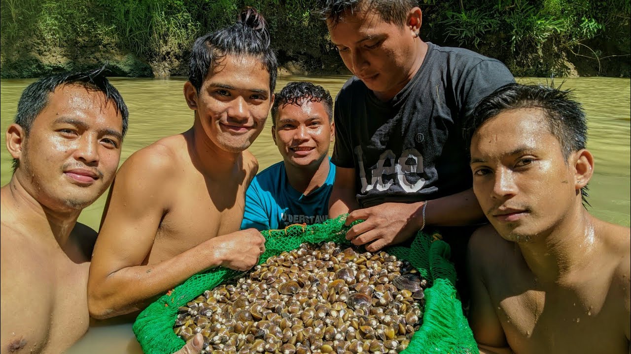 DIVE INTO FRESH WATER TO FIND  (AGIHIS SHELL) | FIND & COOK
