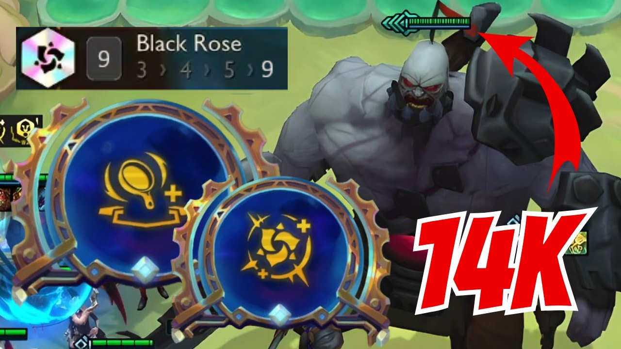 4 STAR SION ⭐⭐⭐⭐ 9 BLACK ROSE