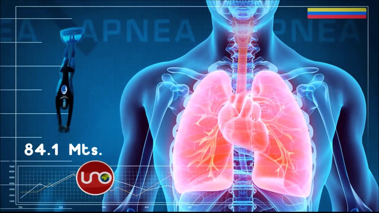 Qué experimenta el cuerpo humano cuando se practica apnea deportiva