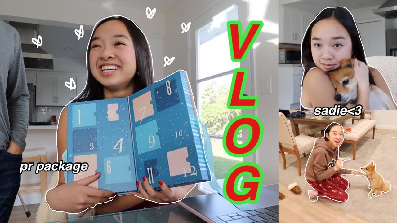 day vlog: school, pr packages, & sadie! Vlogmas Day 9 | Nicole Laeno