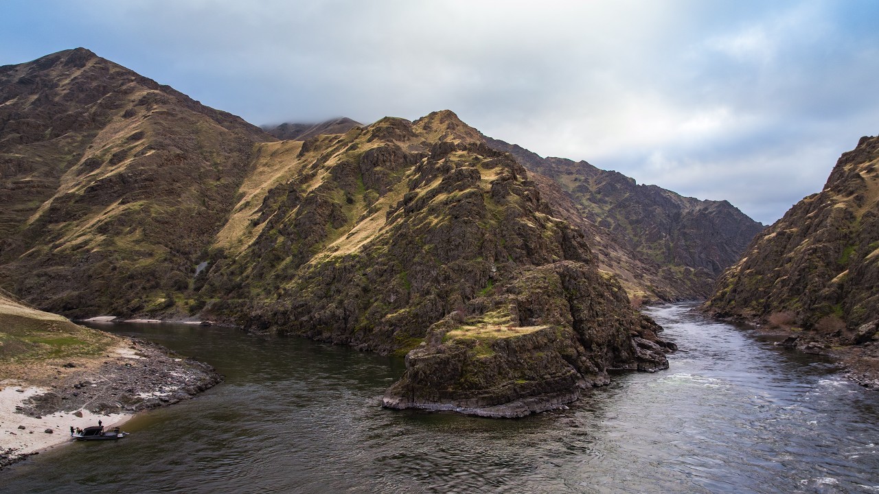 Steelhead and the Long Way Home