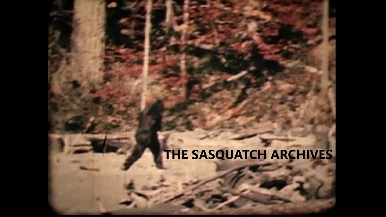 Patterson-Gimlin Film&mdash;Best Copy (play at 2160p-4k)