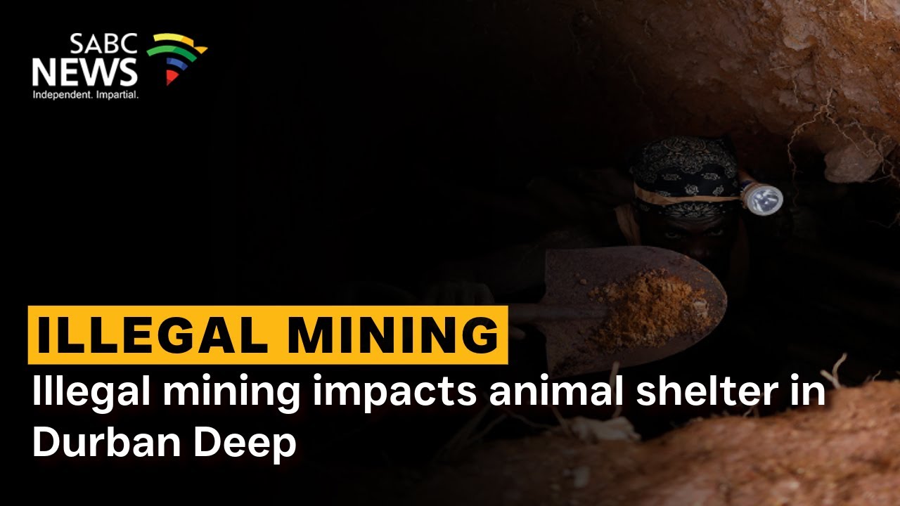 Illegal mining impacts animal shelter in Durban Deep