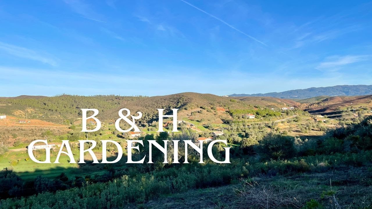 B&H Gardening in Portugal! - Our Workaway near Lagos