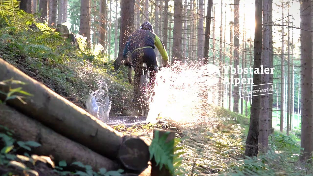 Bikepark K&ouml;nigsberg: Mountainbike Action in Hollenstein/Ybbs