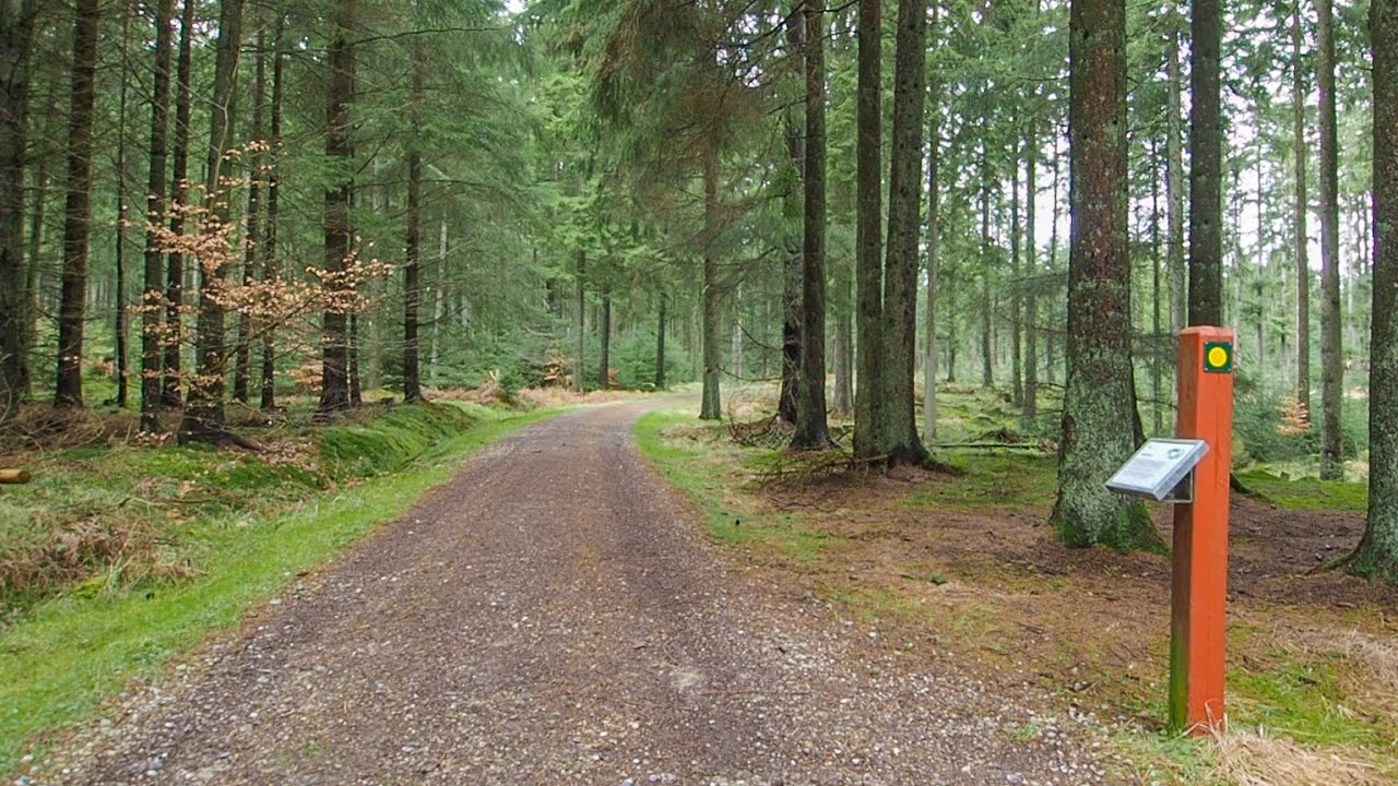 Hestegraven - Den omvendte kilde i Rold Skov
