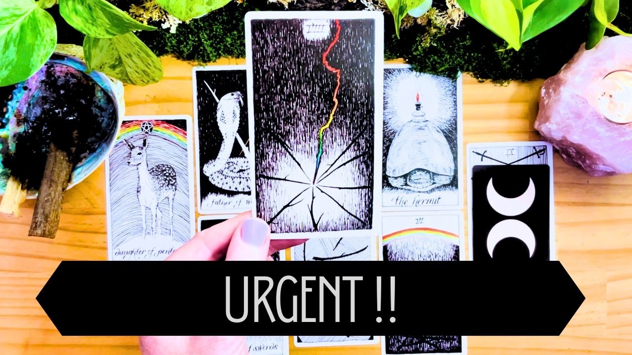 Вам нужно знать это ПРЯМО СЕЙЧАС!! ⏰