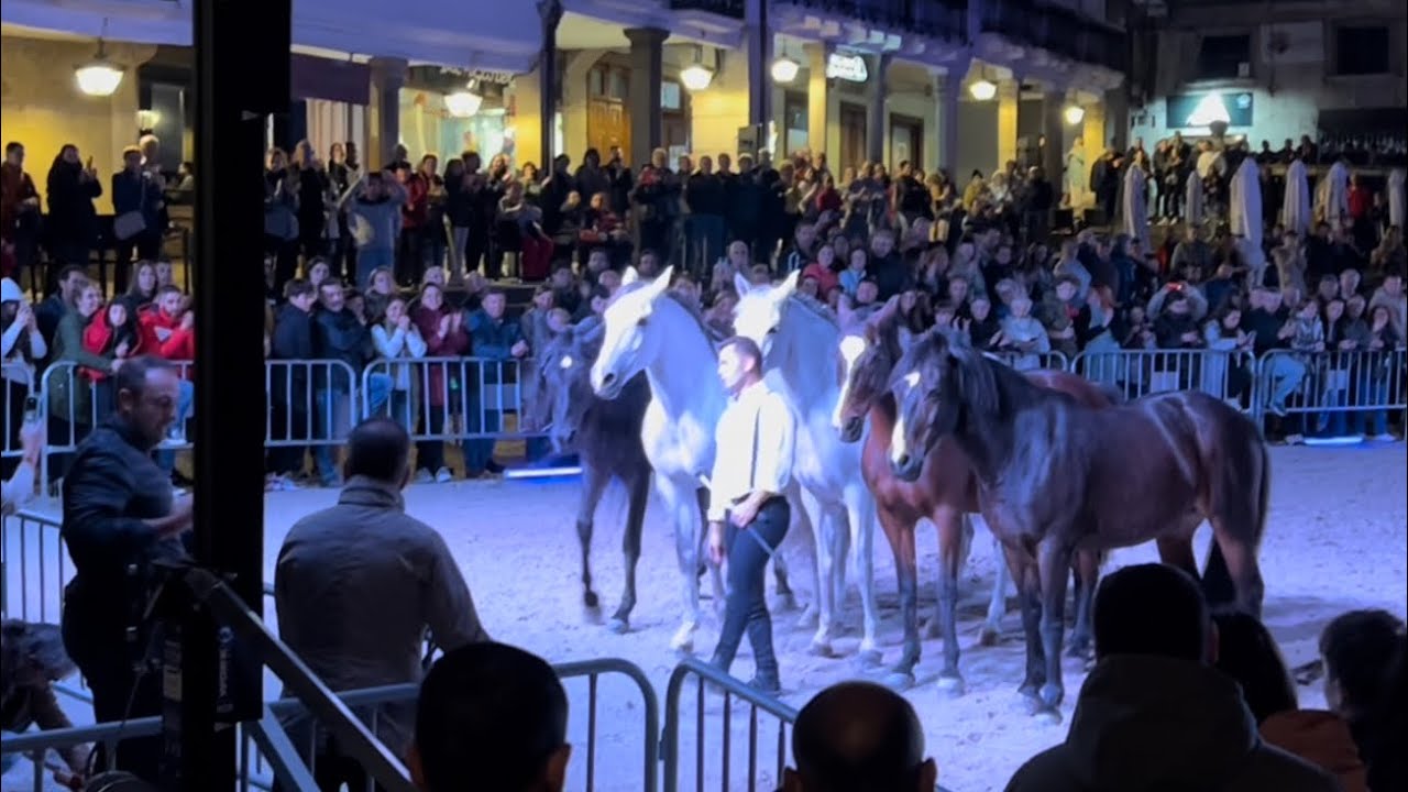Espectáculo de doma nocturna en As San Lucas 2022. Exhibición de Miron Bococi. Mondoñedo.