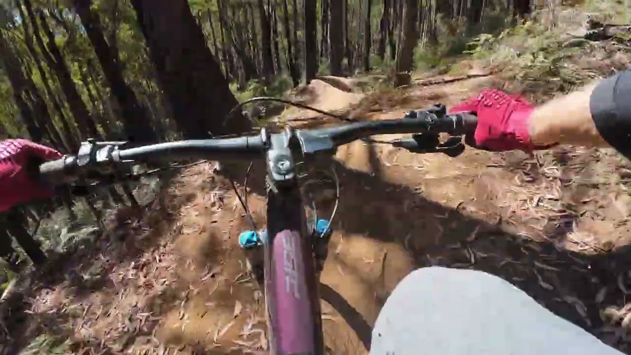 Ripple Effect Warburton mtb 