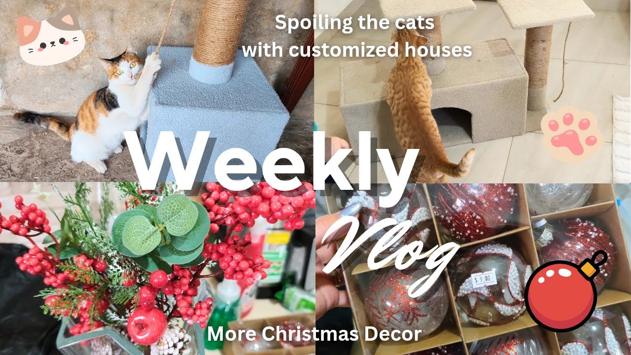 Weekly Vlog: Spoiling the cats with customized houses + purchased more Christmas decor
