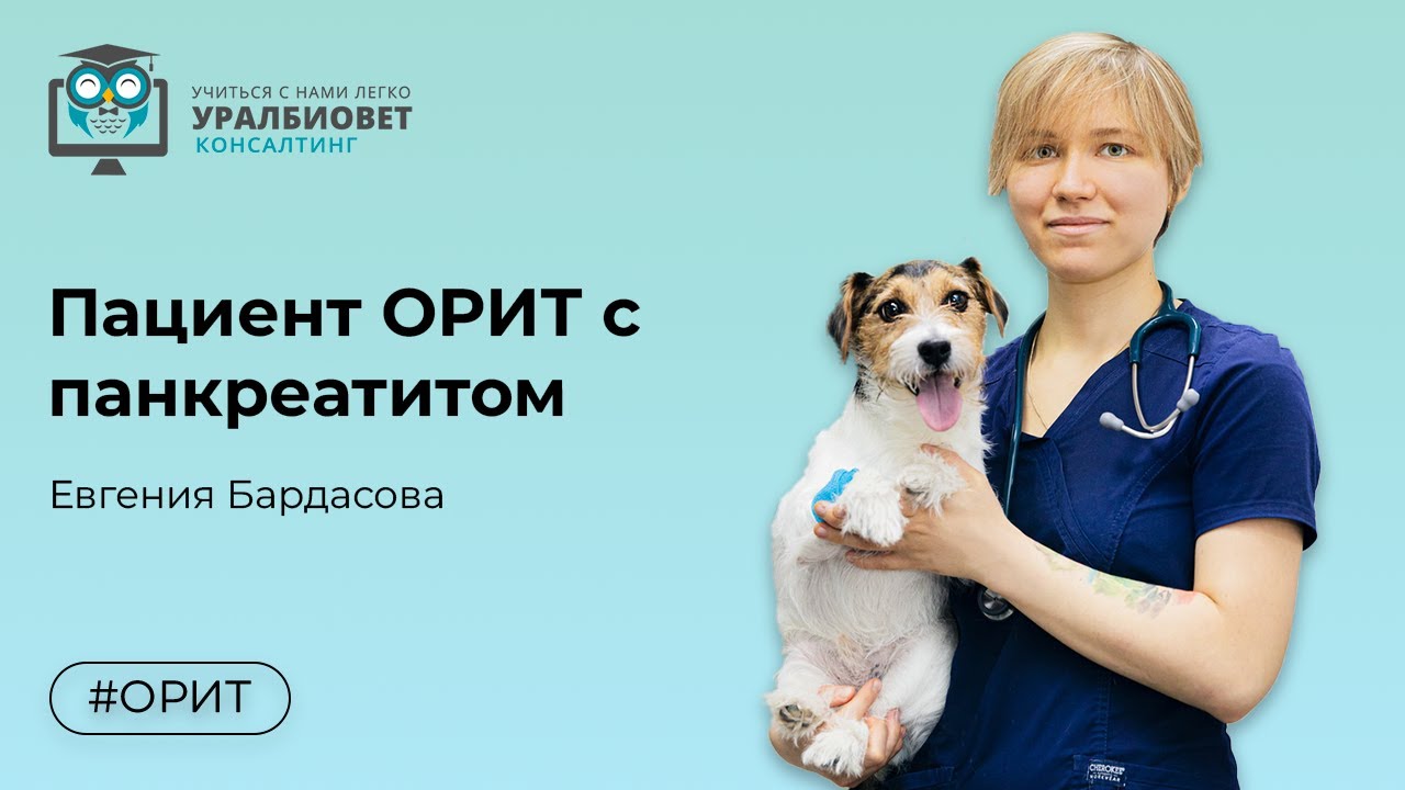 Пациент ОРИТ с панкреатитом, лектор Бардасова Евгения Алексеевна