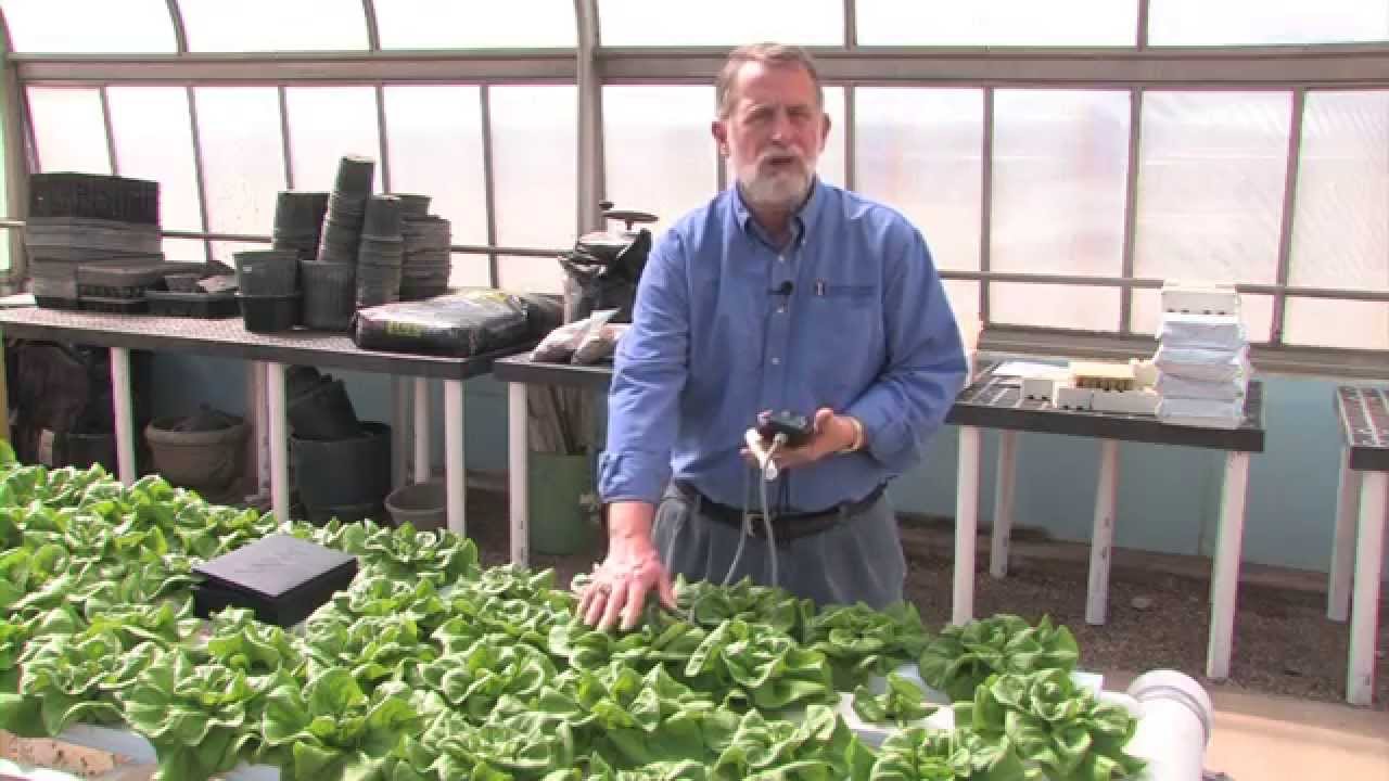 Hydroponics: Understanding pH and Exchange Capacity