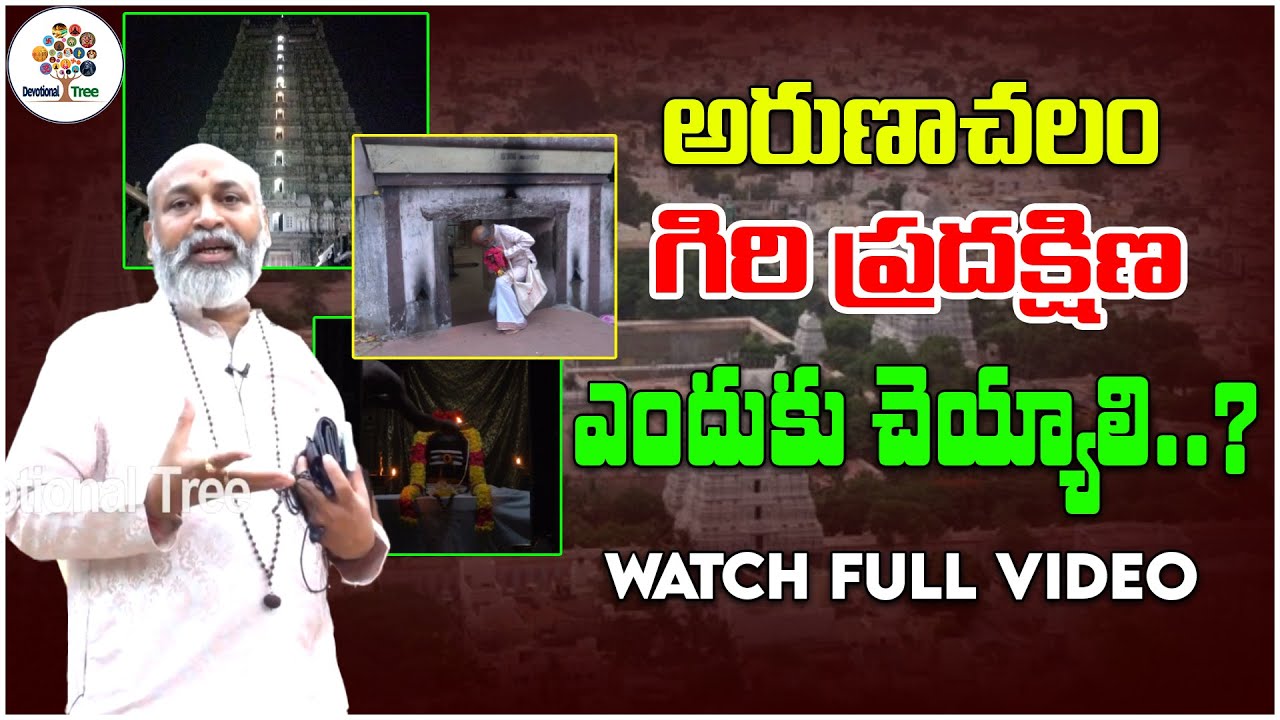 అరుణాచలం గిరి ప్రదక్షిణ ఎందుకు చెయ్యాలి..? | Arunachalam Giri Pradakshina | Devotional Tree