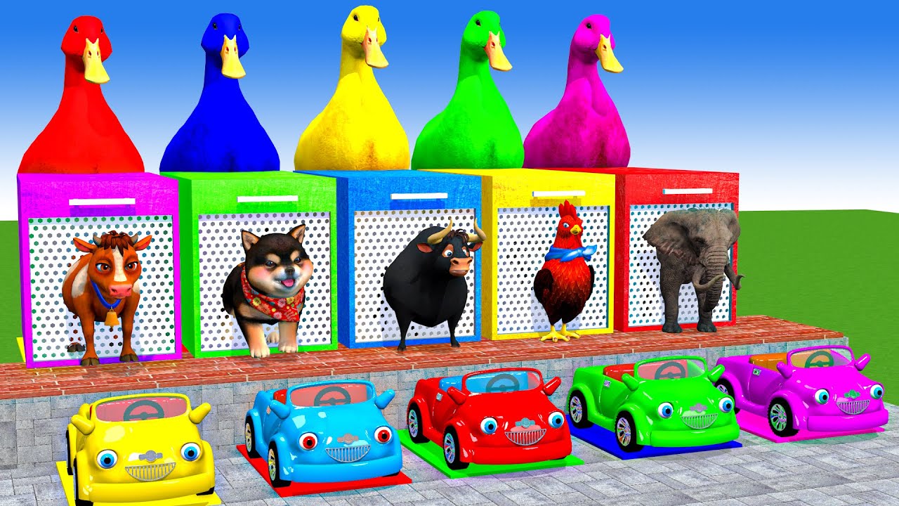 Long Slide Game With Cow Elephant Gorilla Hippopotamus Tiger 3d Animal Game Funny 3d Animals