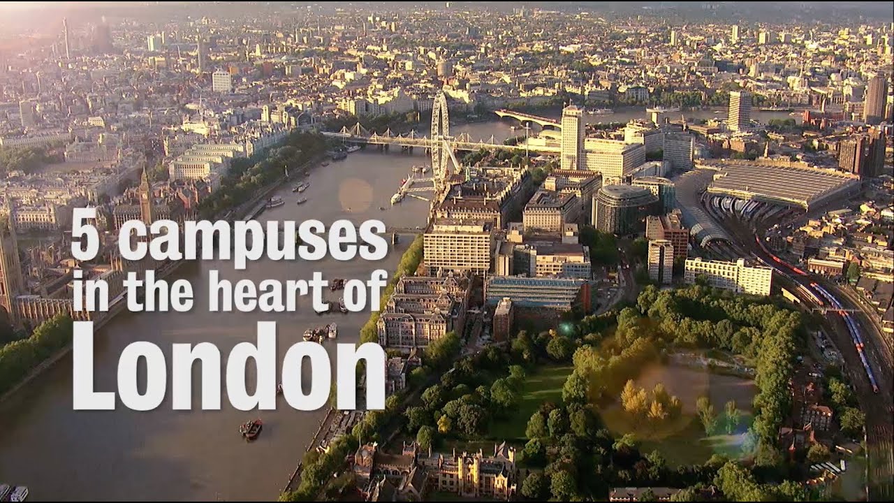 Discover King's