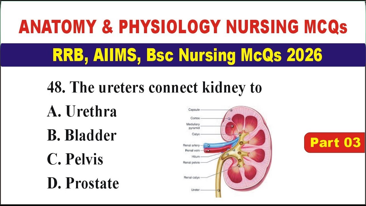 Anatomy & Physiology Nursing MCQs 2026 | RRB, AIIMS, BSc Nursing Exam Preparation McQs 2026