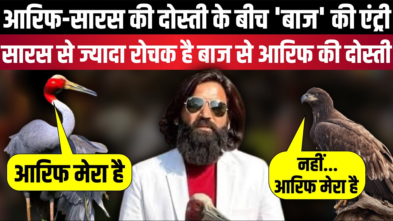 Arif-Saras की दोस्ती के बीच 'बाज' की एंट्री | The Rajneeti