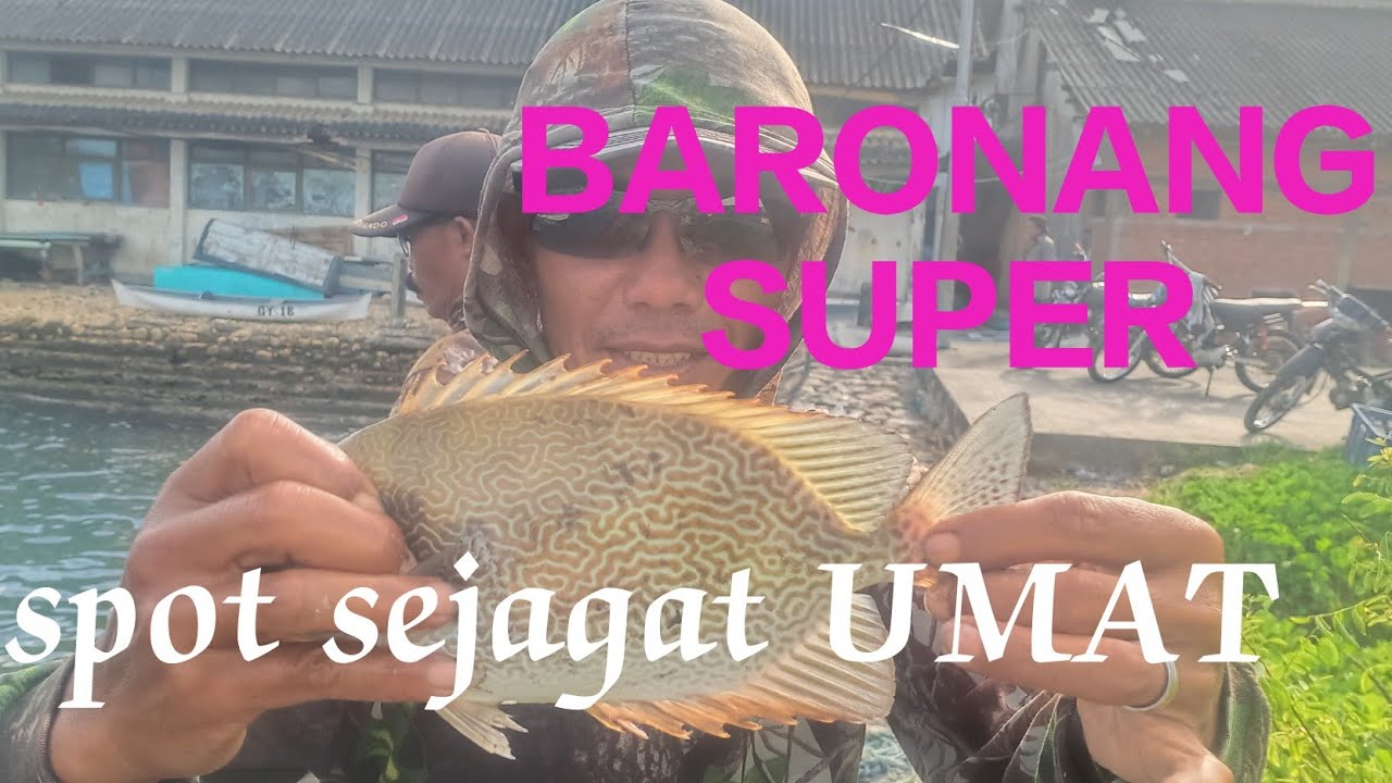 Angin kencang ikan BARONANG MENGGILA..ISTIMIWIRRR SPOT SEJAGAT UMAT SENDANG BIRU