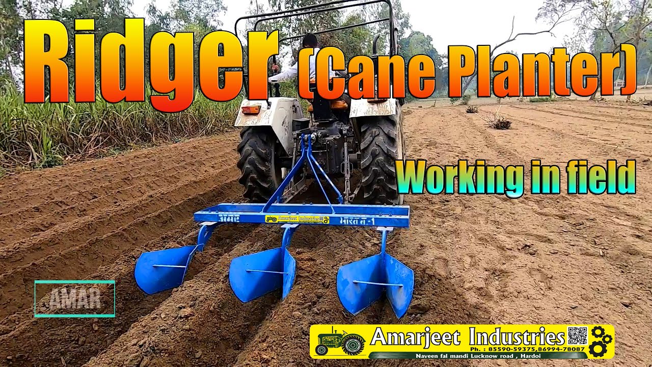 Ridger Cane planter working in fields | 2022  (Amar Hardoi) 